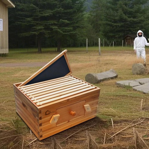 Frame deep brood box - brood,