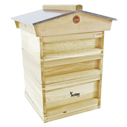 National pine bee - national,