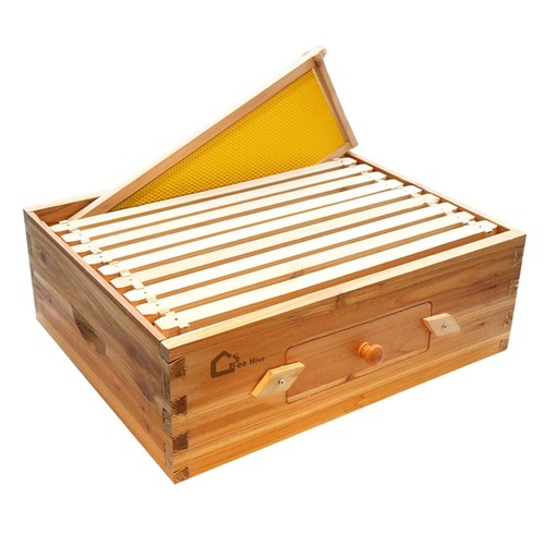 Bee hive langstroth kit - hive, 10