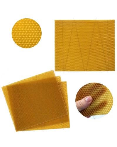 National beehive deep - beehive, brood