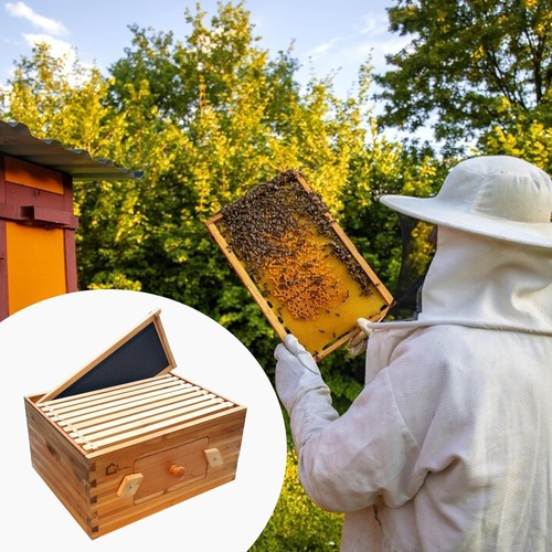 Frame deep brood - 10-frame, box