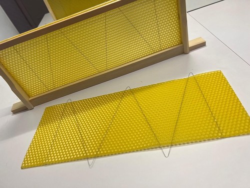 Wired wax foundation - wired,