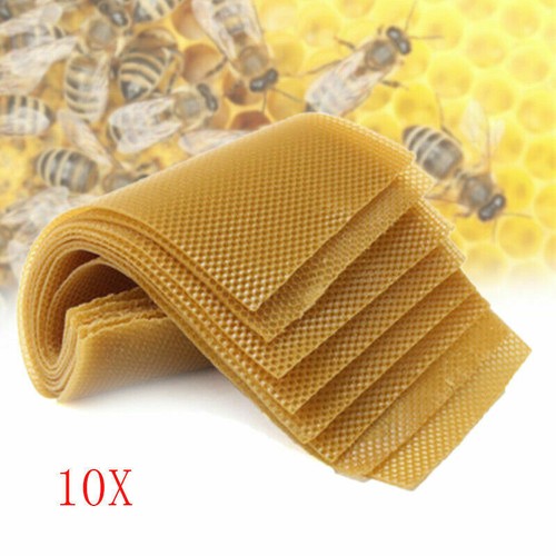 10x beekeeping honeycomb - 10x,