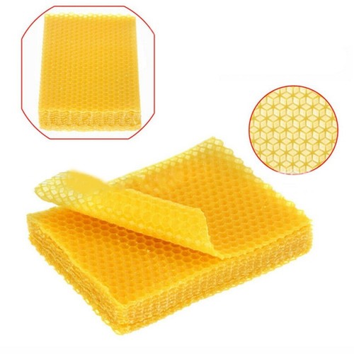 Set beehive foundation - 30, x/set