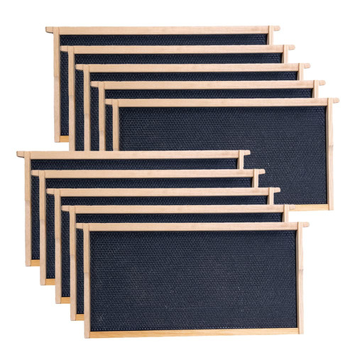 Deep brood beehive - brood, frames