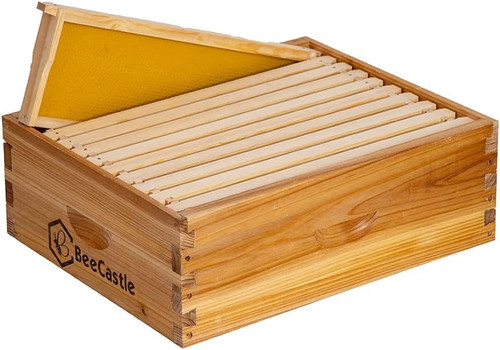 Frame medium super bee hive - 10,