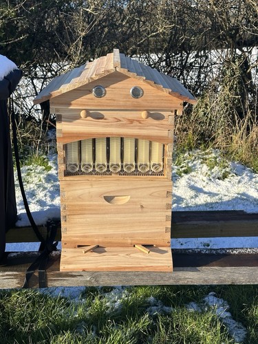 Section auto honey - section,