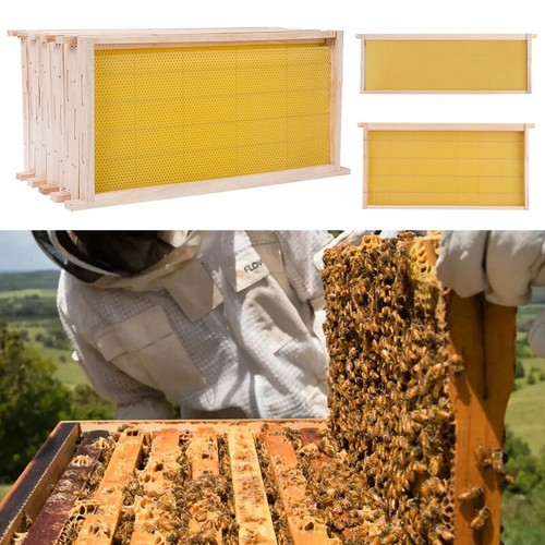 National beehive wax assembled - wax,