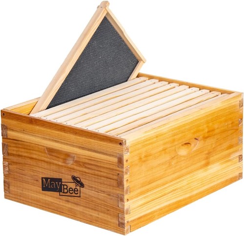 Frame beehive box - beehive,