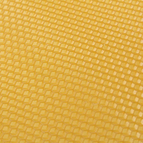 10pcs wax frames honey hive - honey,