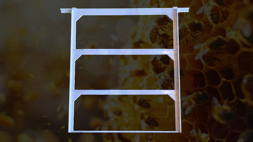 Bee hive frames - , buy