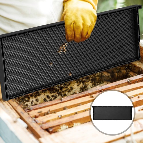 Honey hive equipment bee frame - bee,