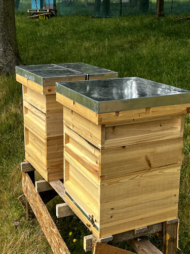 National bee hive with - x,