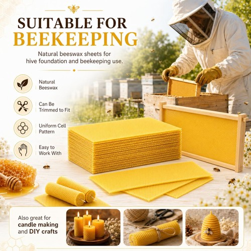 150x bee hive unwired - 30-150x,