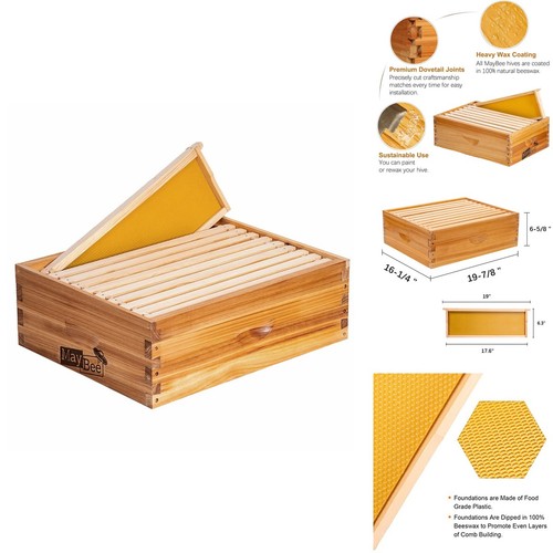 Maybee frame beehive - 10-frame,