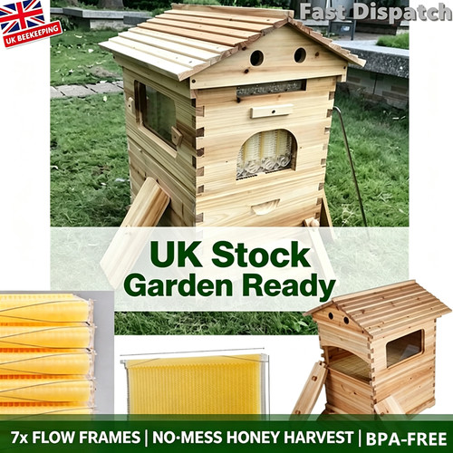 Auto flow honey - honey, beehive